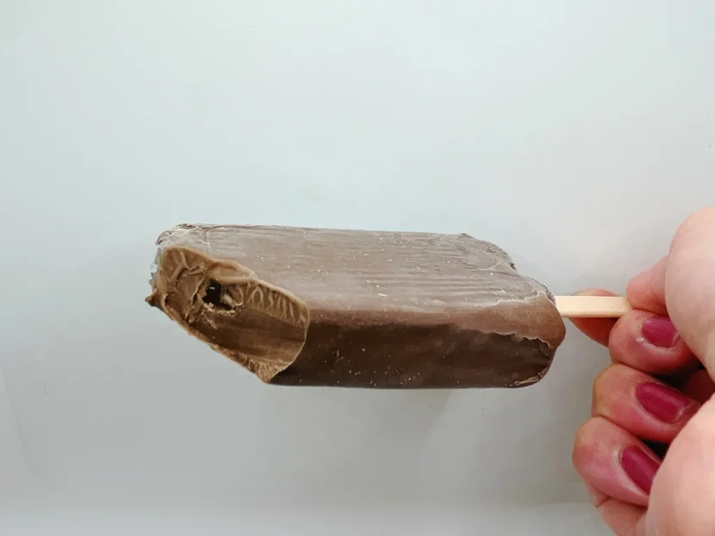 世にもおいしいチョコブラウニーアイスバー